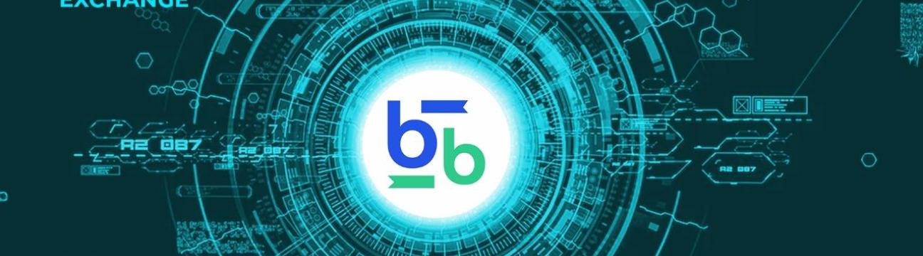 Bitbse Exchange