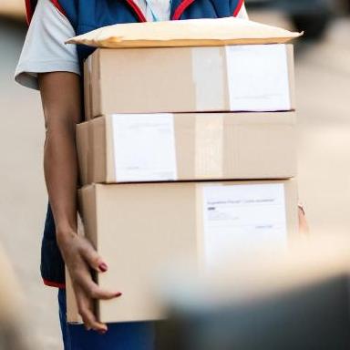 Transvex International