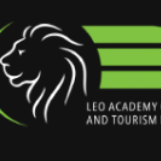 Leo Academy