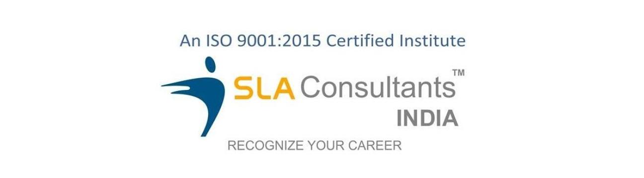 SLA Consultants Delhi